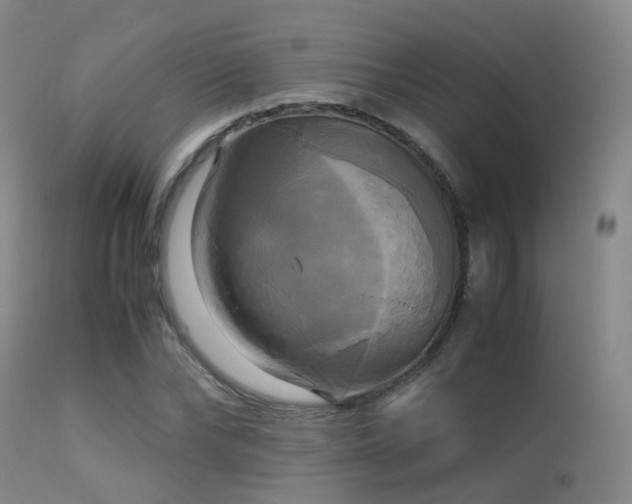 X0000113250878200909171623