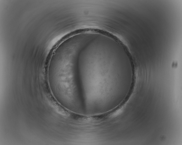 X0000113250879200909171623