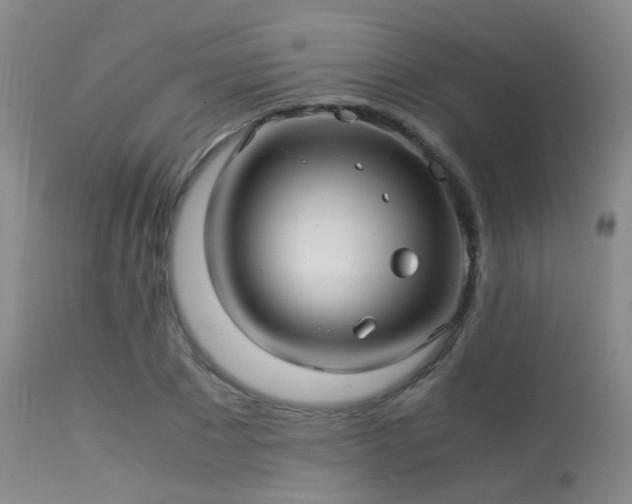 X0000113250881200909171623