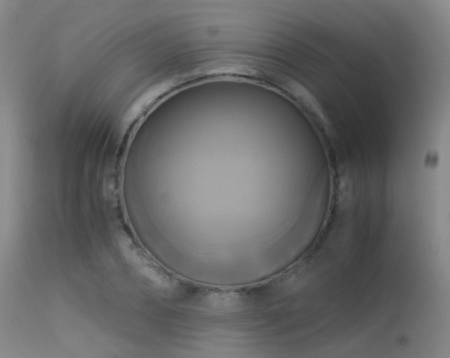 X0000113250882200909171623