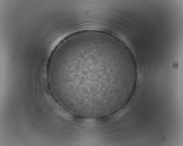 X0000113250883200909171623