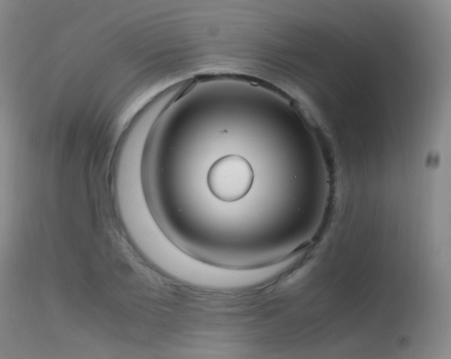 X0000113250885200909171623