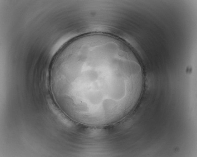 X0000113250886200909171623