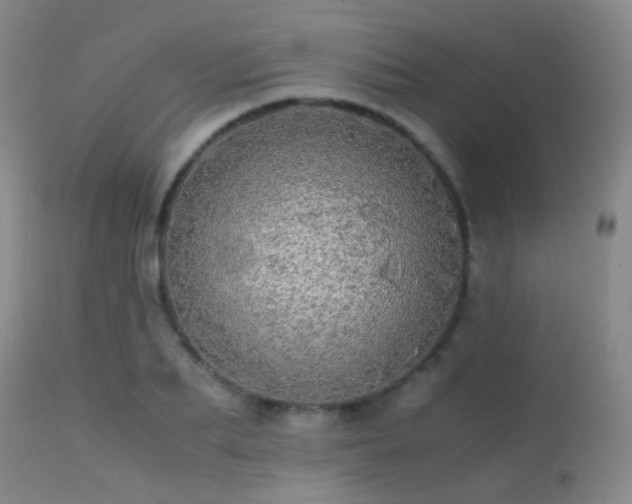 X0000113250887200909171623