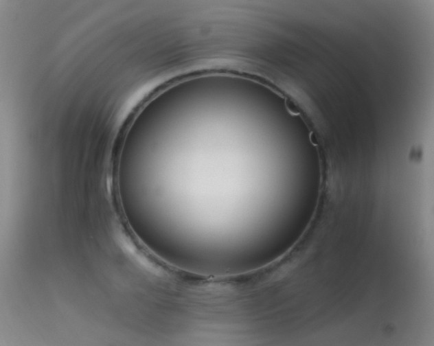 X0000113250888200909171623