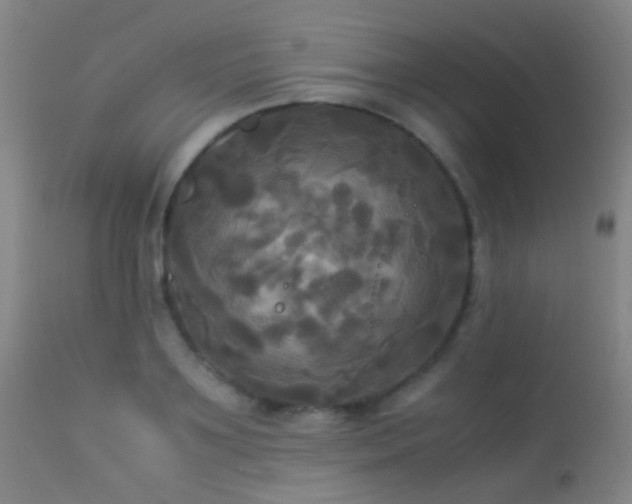 X0000113250891200909171623