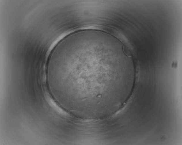 X0000113250892200909171623