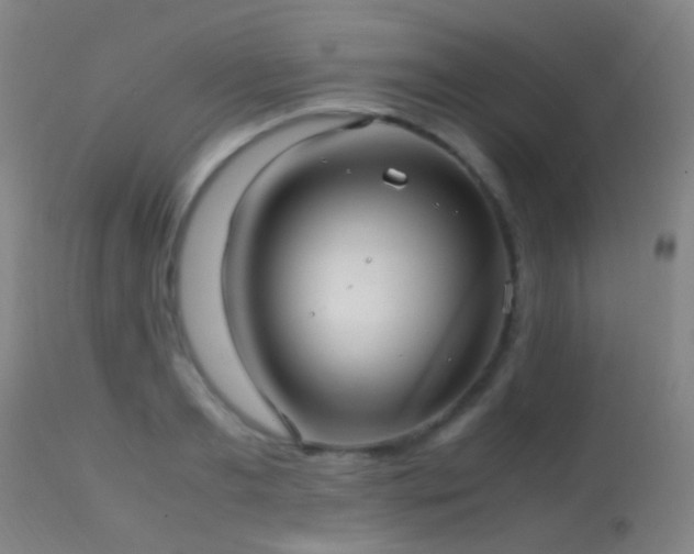 X0000113250893200909171623