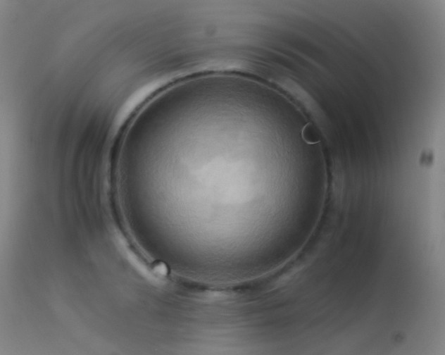 X0000113250894200909171623