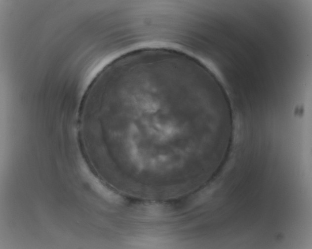 X0000113250895200909171623