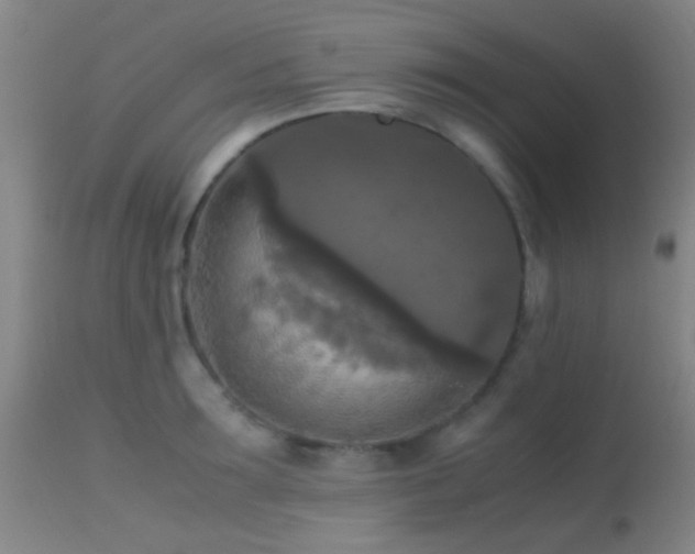 X0000113250899200909171623