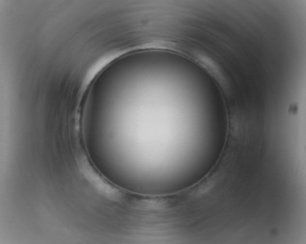 X0000113250900200909171623