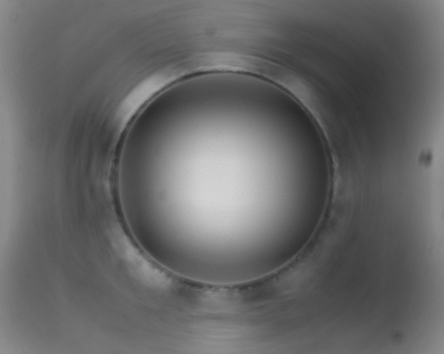 X0000113250901200909171623