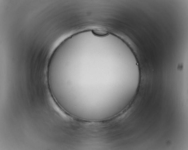 X0000113250902200909171623