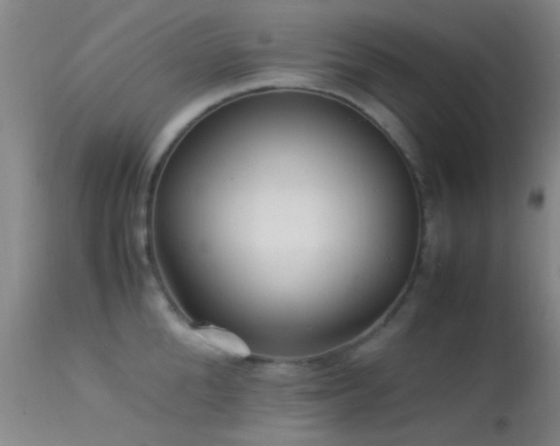 X0000113250904200909171623