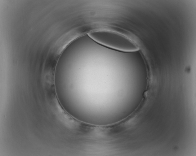 X0000113250905200909171623