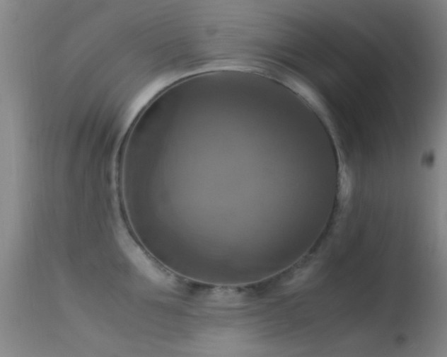 X0000113250907200909171623