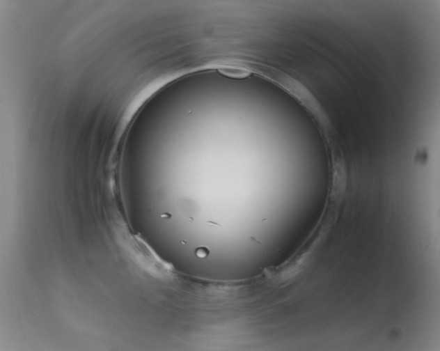 X0000113250908200909171623