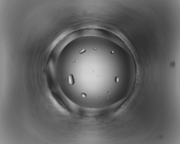 X0000113250909200909171623