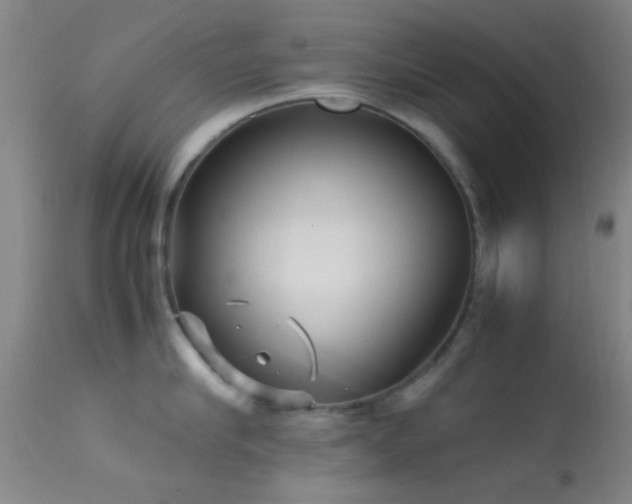 X0000113250910200909171623