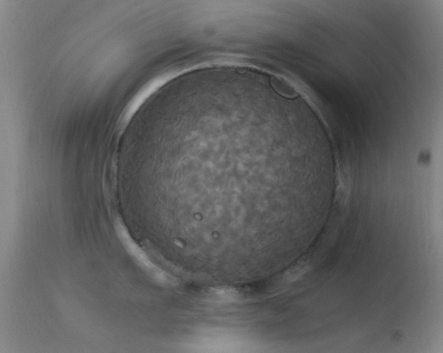 X0000113250911200909171623