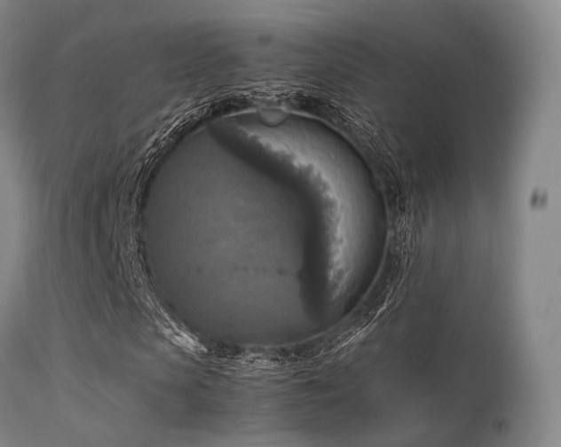 X0000113250913200909171622