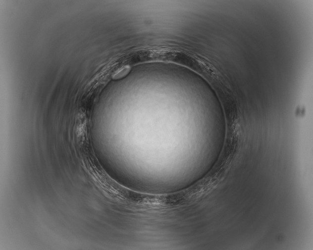 X0000113250914200909171622