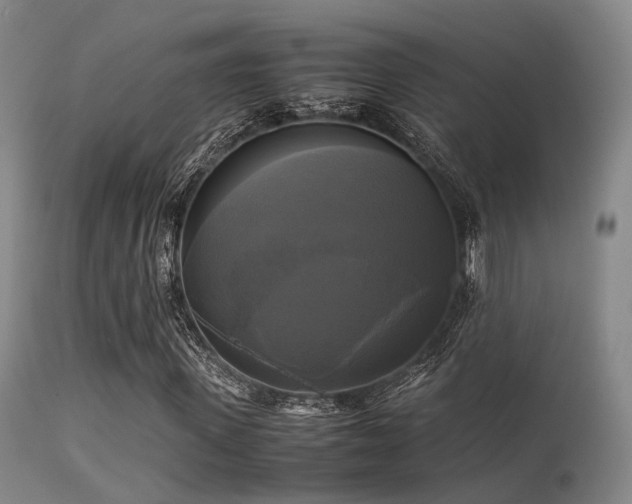 X0000113250915200909171622