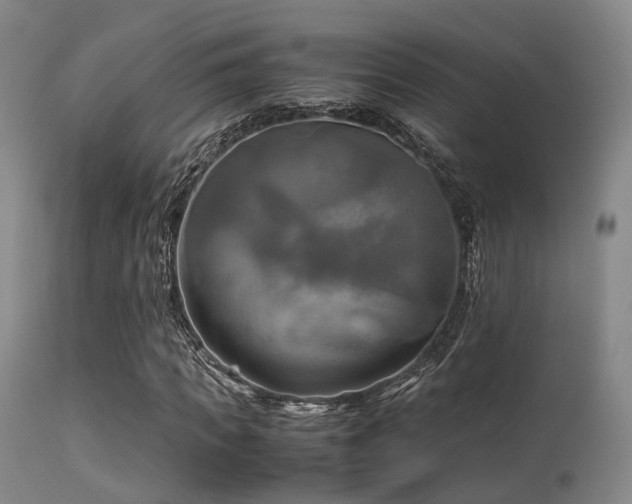 X0000113250917200909171622