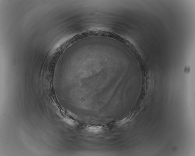 X0000113250919200909171622