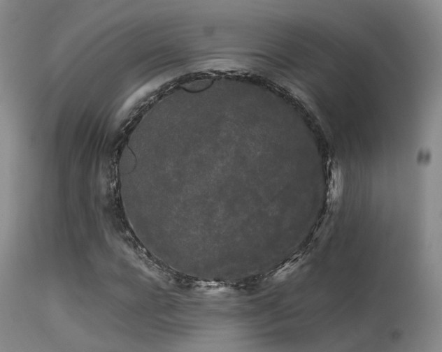 X0000113250920200909171622