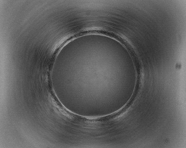 X0000113250921200909171622