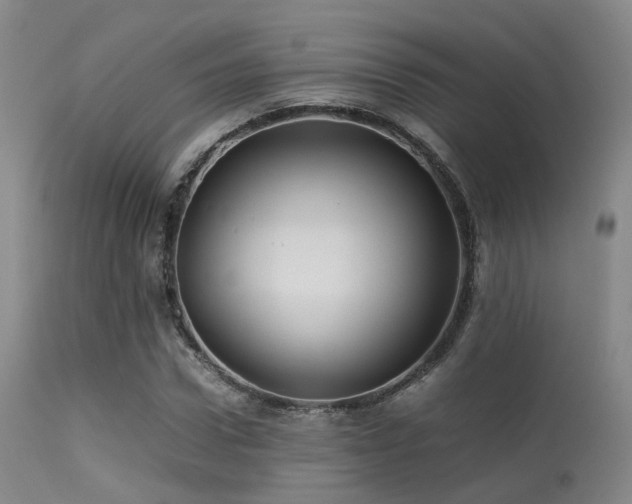 X0000113250922200909171622