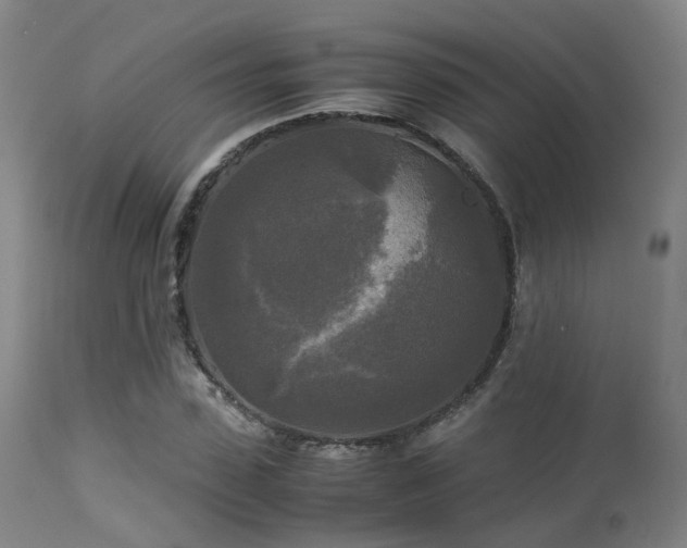 X0000113250923200909171622