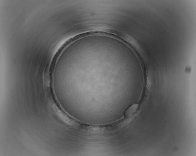 X0000113250924200909171622