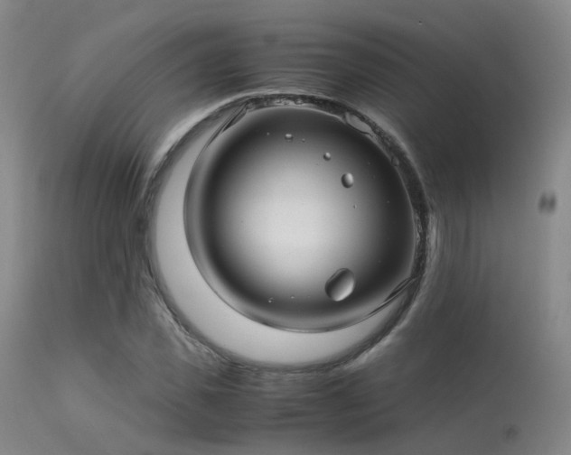 X0000113250925200909171622