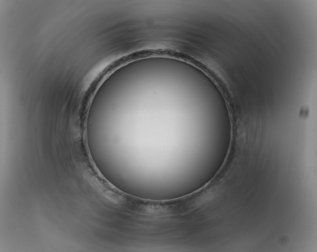 X0000113250927200909171622