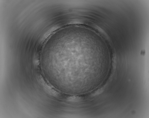 X0000113250929200909171622