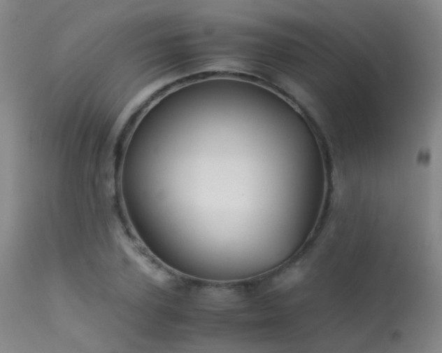 X0000113250931200909171622