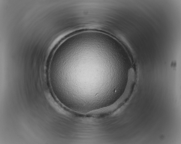 X0000113250932200909171622