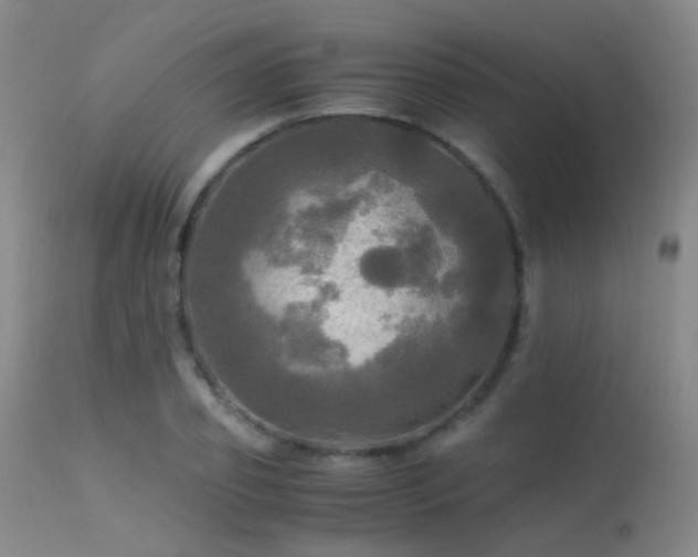 X0000113250933200909171622