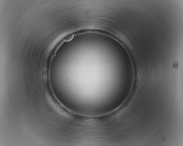 X0000113250934200909171622