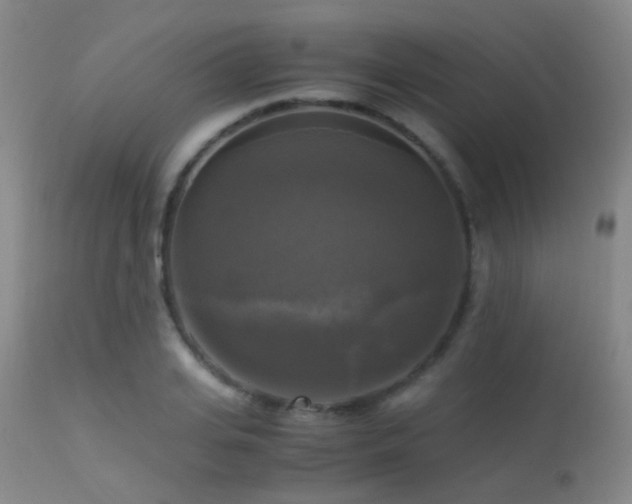 X0000113250935200909171622