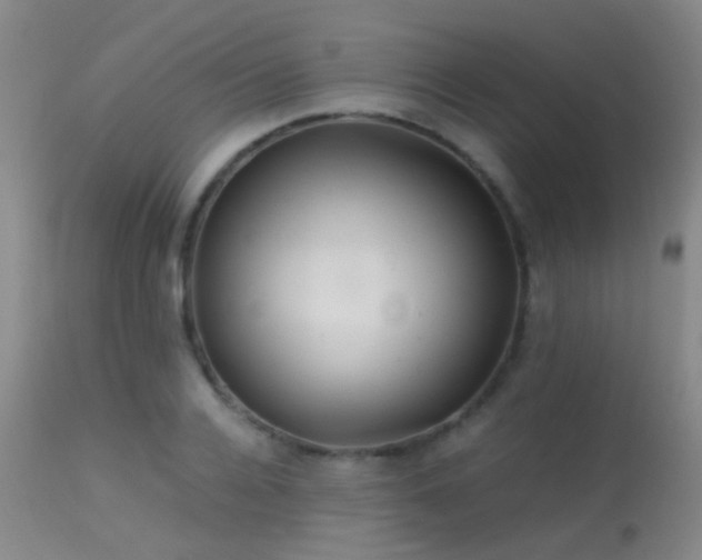 X0000113250936200909171622