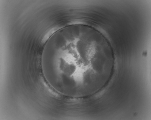 X0000113250937200909171622