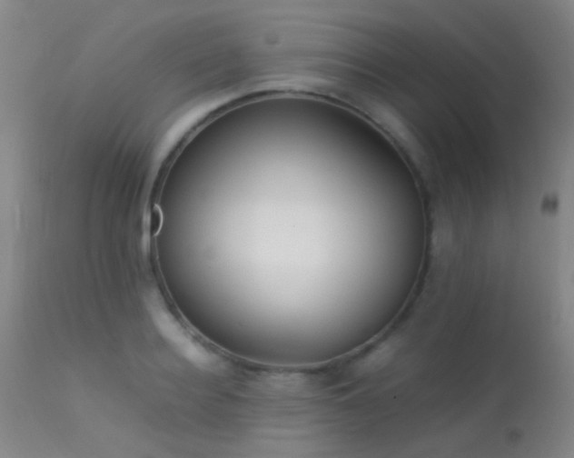 X0000113250940200909171622