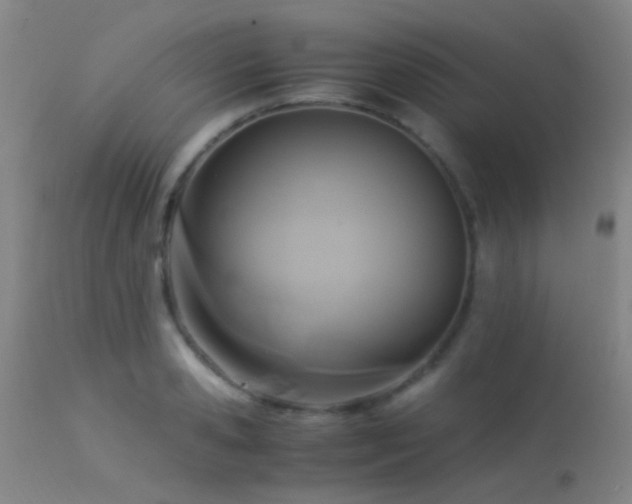 X0000113250941200909171622