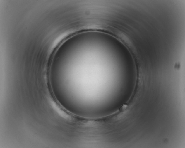 X0000113250942200909171622