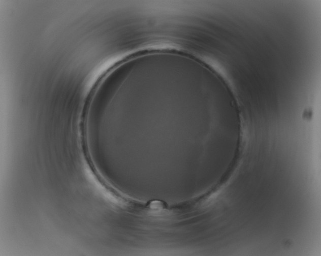 X0000113250943200909171622