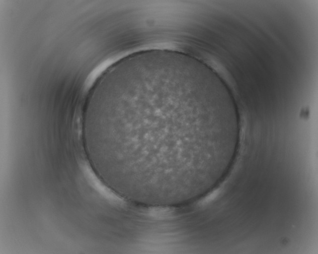 X0000113250944200909171622